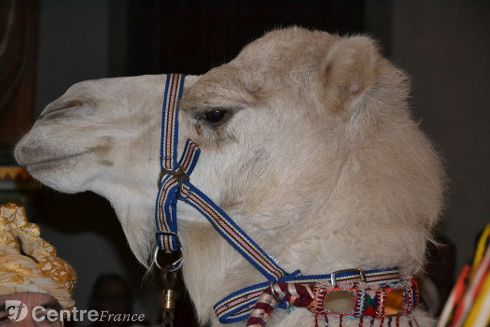 SaintMicheldeVolangis site de la commune